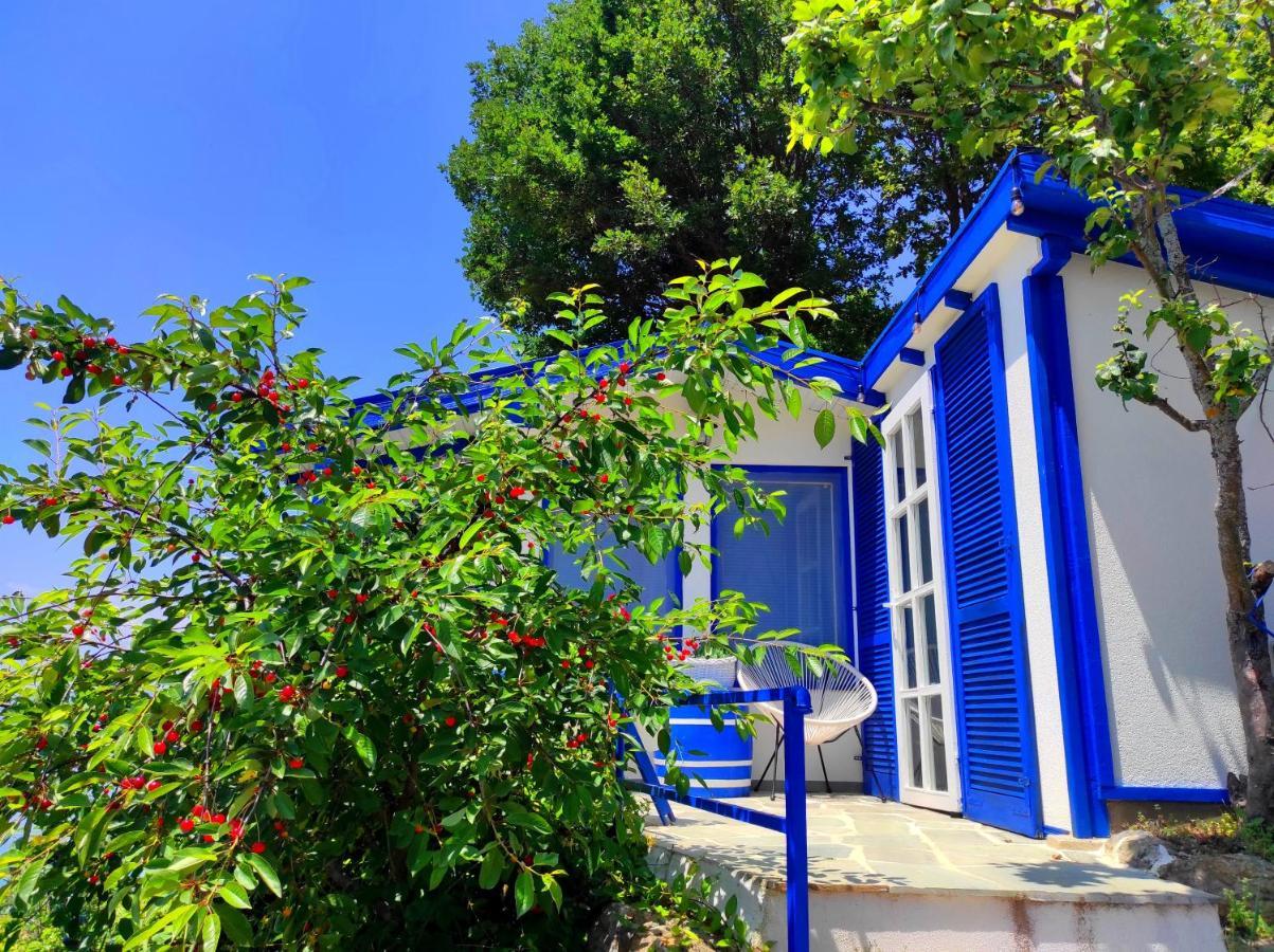 Villa Forest Paradise Ohrid Exterior photo