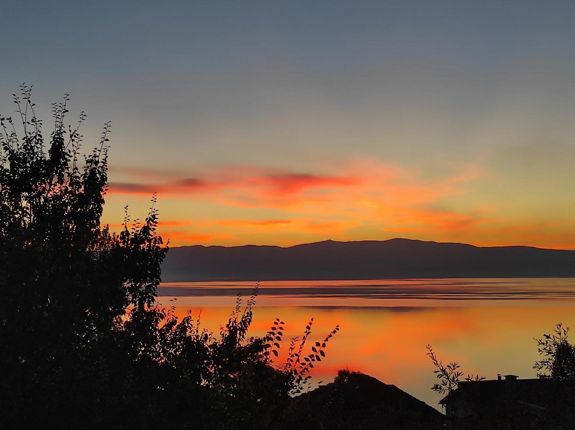 Villa Forest Paradise Ohrid Exterior photo