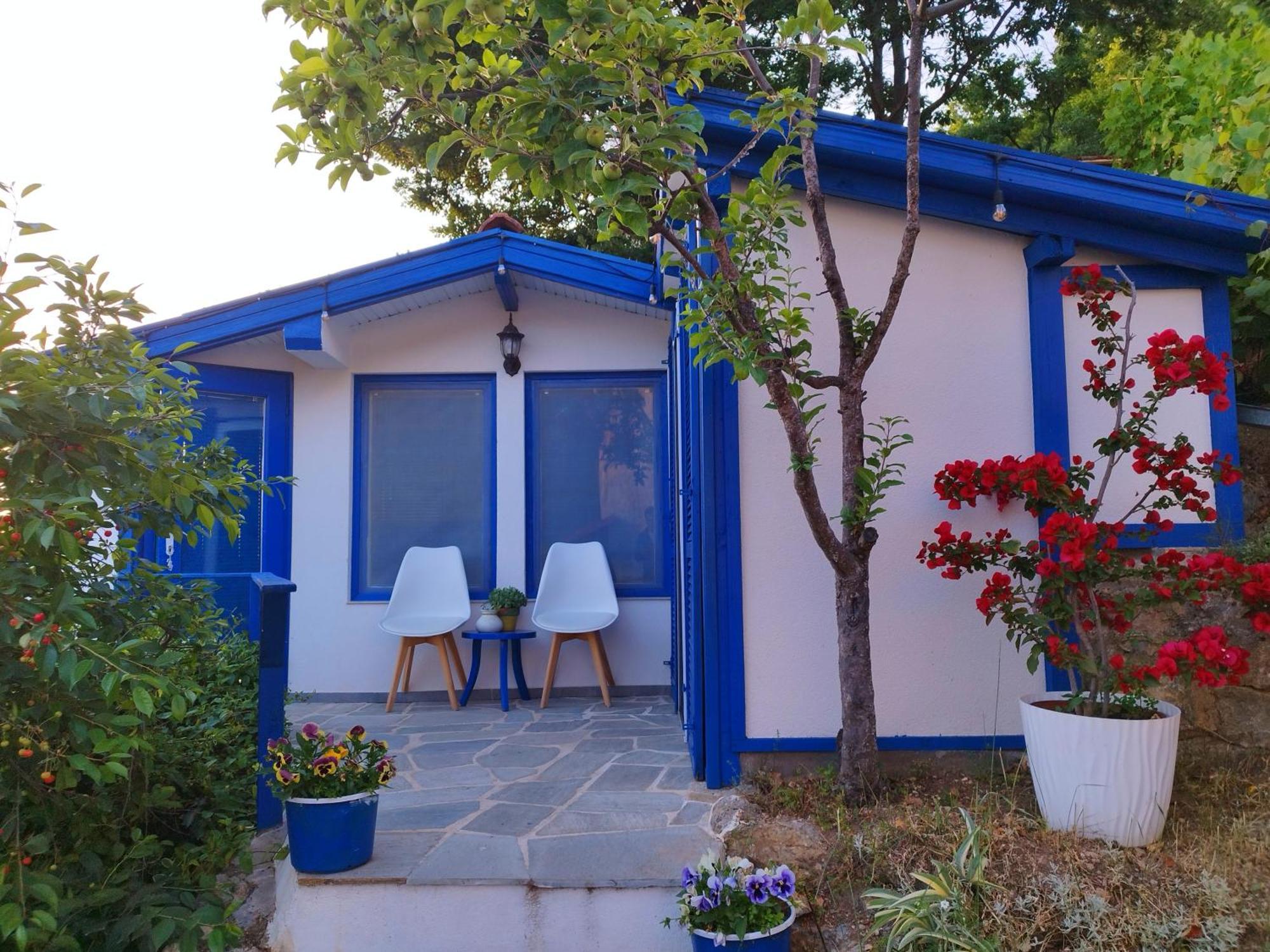 Villa Forest Paradise Ohrid Exterior photo